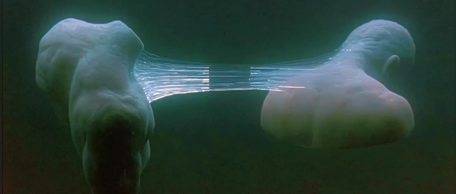 ATTACHMENT still frame 1